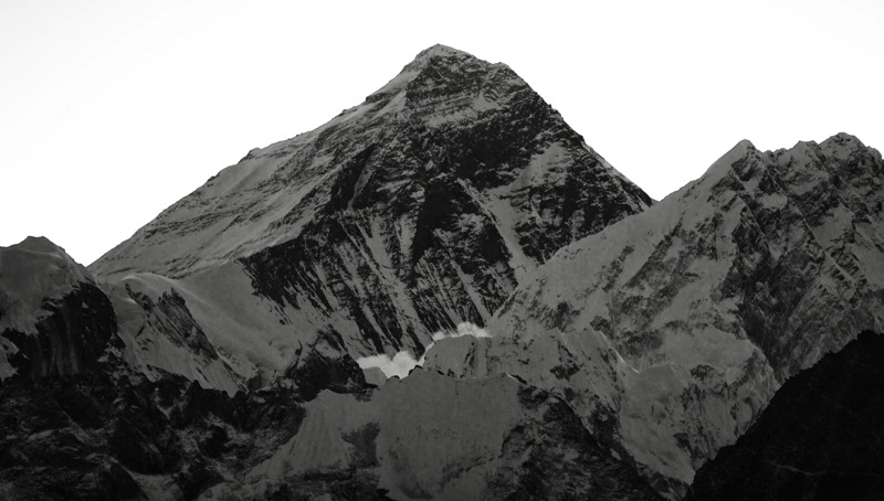 Stacks Image 80