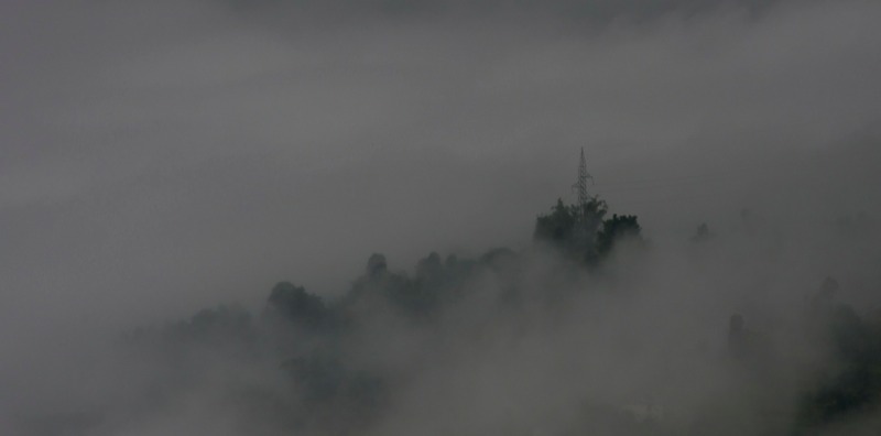 Stacks Image 175