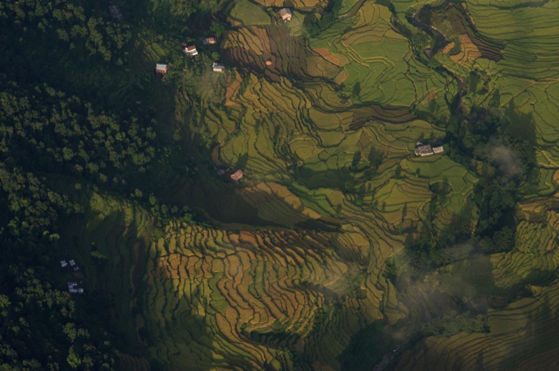 Stacks Image 180
