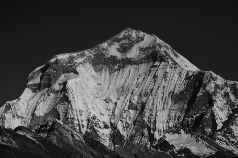 Stacks Image 181